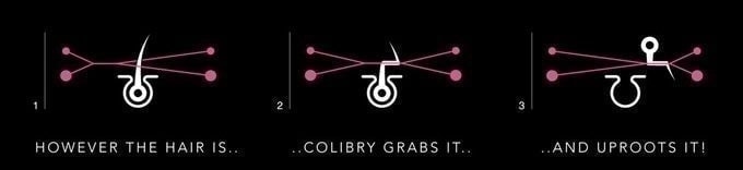 Colibry-image4